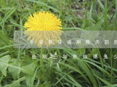 平安易貸逾期幾天罰息-平安易貸欠款三千逾期三年應該還多少