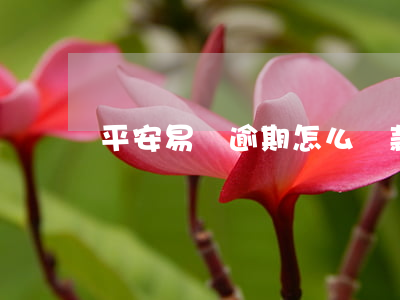平安易貸逾期怎么還款(平安易貸借款版)