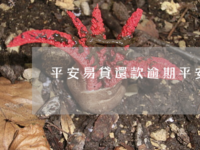 平安易貸還款逾期 平安易貸還款逾期