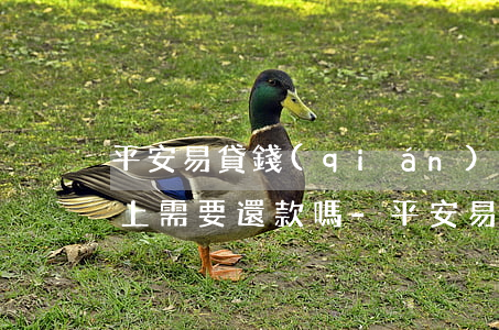 平安易貸錢(qián)沒(méi)到卡上需要還款嗎-平安易貸錢(qián)沒(méi)到卡上需要還款嗎安全嗎