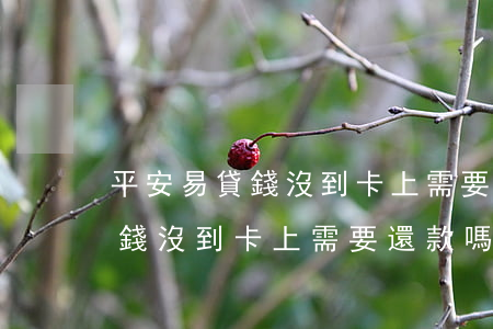 平安易貸錢沒到卡上需要還款嗎-平安易貸錢沒到卡上需要還款嗎安全嗎