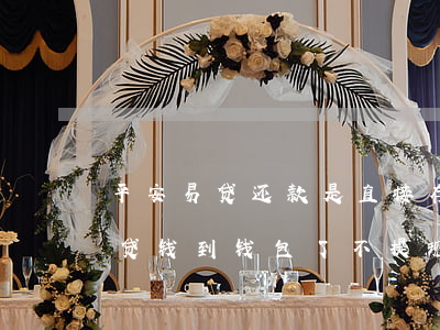 平安易贷还款是直接存入壹钱包吗-平安易贷钱到钱包了不提现会产生还款吗