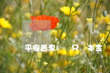 平安普惠i貸只還本金