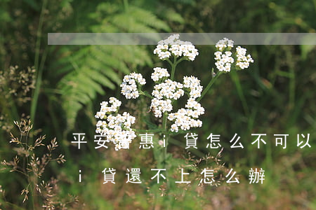 平安普惠i貸怎么不可以還款了-平安普惠i貸還不上怎么辦