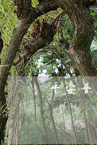 平安普惠i貸欠20000