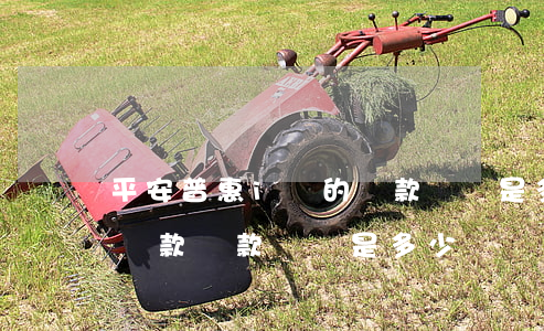平安普惠i貸的還款電話是多少-平安普惠貸款還款電話是多少