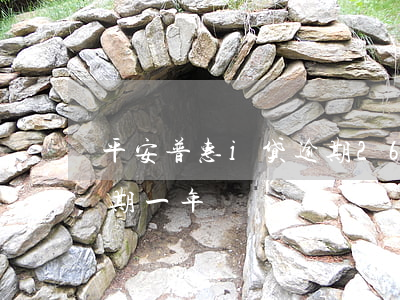 平安普惠i贷逾期260天(平安普惠贷款逾期一年)