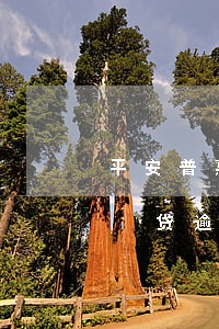 平安普惠i贷逾期一天怎么处理-平安普惠i贷逾期一天会上个人征信吗
