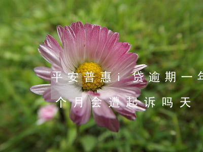 平安普惠i贷逾期一年(平安普惠i贷逾期一个月会遭起诉吗天)