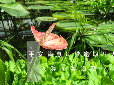 平安普惠i贷逾期几天(平安普惠贷款逾期了一天 算不算逾期)