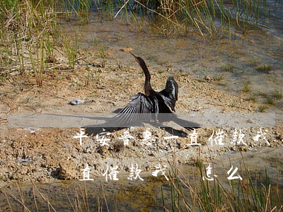 平安普惠一直催款我該怎么辦-平安普惠一直催款我該怎么辦