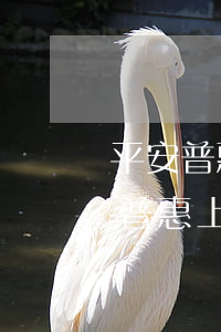 平安普惠上海中廣律師事務(wù)所(平安普惠上海中廣律師事務(wù)所是真的嗎)