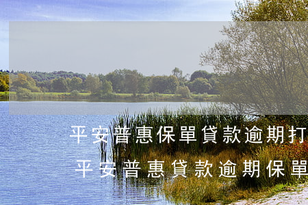 平安普惠保單貸款逾期,打電話說可以減免-平安普惠貸款逾期保單能退嗎