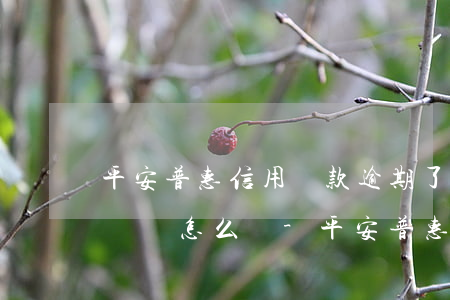 平安普惠信用貸款逾期了沒(méi)能力償還怎么辦-平安普惠信用貸款逾期了沒(méi)能力償還怎么辦