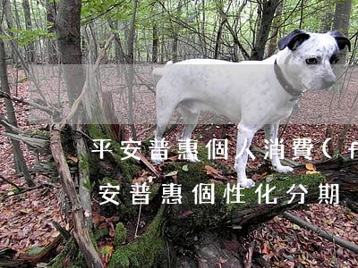 平安普惠個人消費(fèi)評分是什么（平安普惠個性化分期）