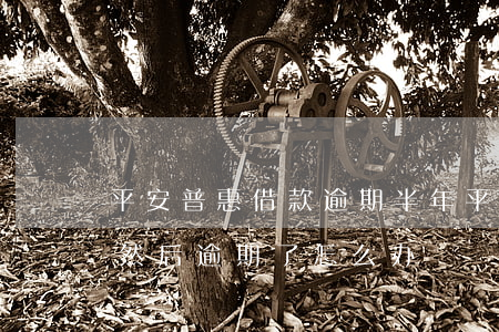 平安普惠借款逾期半年(平安普惠就还款一期然后逾期了怎么办)