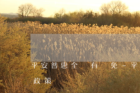 平安普惠全額有減免-平安普惠全額有減免政策嗎