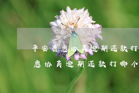 平安普惠协商逾期还款打哪个电话-平安普惠协商逾期还款打哪个电话投诉