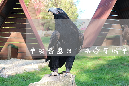 平安普惠只還本金可以 平安普惠只還本金可以嗎
