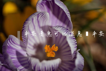 平安普惠可以退息嗎(平安普惠可以退息嗎)