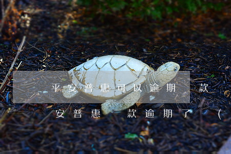 平安普惠可以逾期還款嗎(中國(guó)平安普惠貸款逾期了沒(méi)還會(huì)怎么樣)