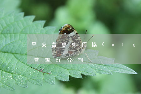 平安普惠如何協(xié)商二次分期(平安普惠好分期)