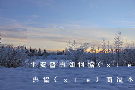 平安普惠如何協(xié)商還本金(平安普惠協(xié)商還本金靠譜嗎?)