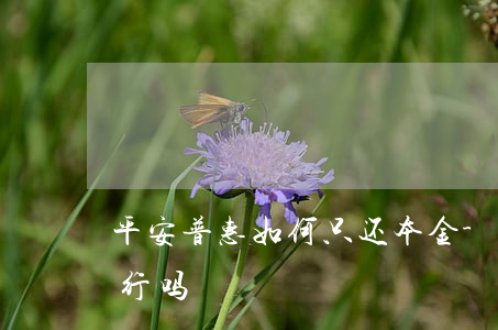 平安普惠如何只还本金-平安普惠只还本金行吗