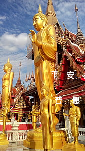平安普惠宅貸款逾期了(中國(guó)平安普惠貸款逾期了沒還會(huì)怎么樣)
