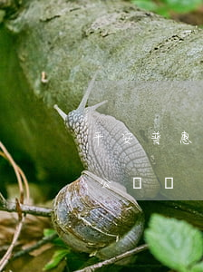 平安普惠對公賬號怎么還款（平安普惠還款對公賬號）