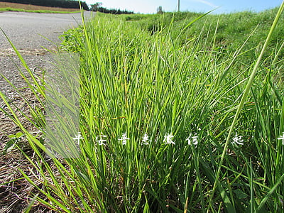 平安普惠微信說起訴(平安普惠微信說起訴)
