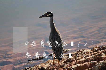 平安普惠怎么協(xié)商只還本金嗎(平安普惠怎么協(xié)商只還本金嗎)