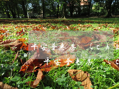平安普惠房產(chǎn)抵押逾期多久起訴 平安普惠房產(chǎn)抵押逾期多久起訴