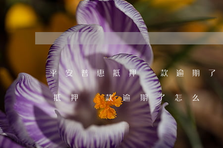 平安普惠抵押貸款逾期了怎么辦-平安普惠抵押貸款逾期了怎么辦理