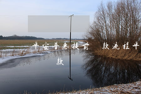 平安普惠提前還款流程(平安普惠怎么提前全額還款)