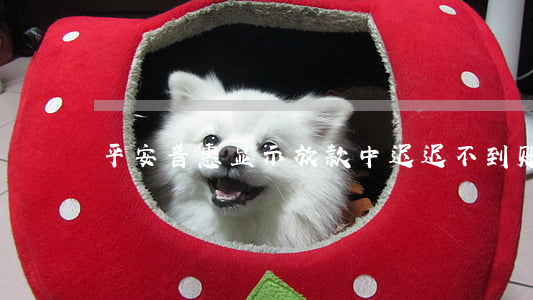 平安普惠显示放款中迟迟不到账什么情况