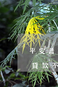 平安普惠欠款金額多少會起訴(欠平安普惠的貸款不還,幾個月后會被起訴?)