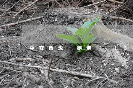 平安普惠沒逾期凍結(jié)