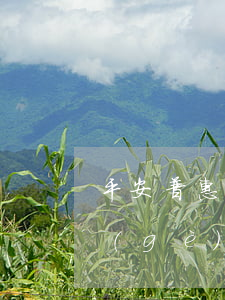 平安普惠申請(qǐng)停息掛賬打哪個(gè)電話-平安普惠申請(qǐng)停息掛賬打哪個(gè)電話投訴