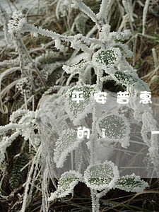平安普惠的i貸一直顯示還款中-平安普惠的i貸一直顯示還款中怎么回事