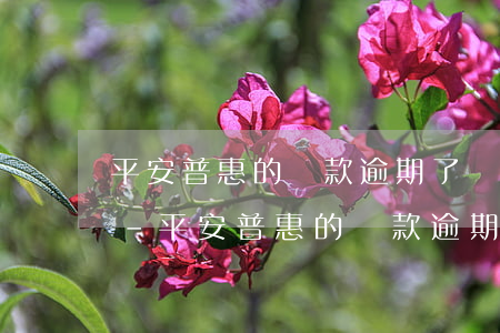 平安普惠的貸款逾期了會來家里找我還款嗎-平安普惠的貸款逾期了會來家里找我還款嗎