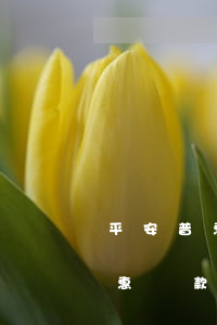 平安普惠網(wǎng)貸還不起 在平安普惠貸款還不上負(fù)刑事責(zé)任嗎
