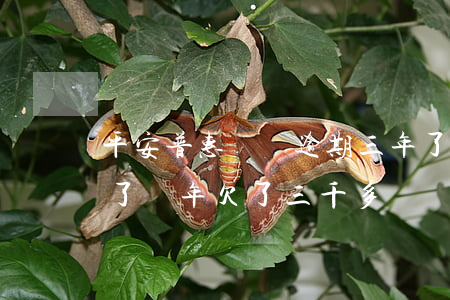 平安普惠網貸逾期三年了(平安普惠欠款逾期了兩年欠了三千多塊錢現(xiàn)在要還嗎?)