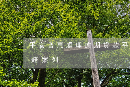 平安普惠處理逾期貸款（平安普惠貸款逾期理賠案列）