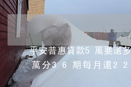 平安普惠貸款5萬要還多少-平安普惠貸5萬分36期每月還2221.06