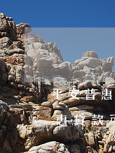 平安普惠貸款可以申請停息掛賬嗎-平安普惠貸款可以申請停息掛賬嗎安全嗎