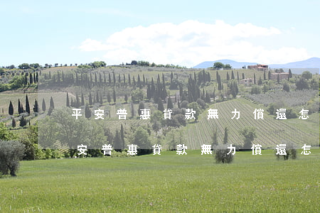 平安普惠貸款無力償還怎么辦 投訴電話-平安普惠貸款無力償還怎么辦 投訴電話多少