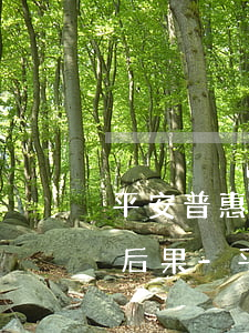 平安普惠貸款無力償還會(huì)有什么后果-平安普惠貸款無力償還會(huì)有什么后果嗎