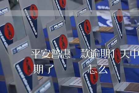 平安普惠貸款逾期1天(中國平安普惠貸款逾期了沒還會怎么樣)