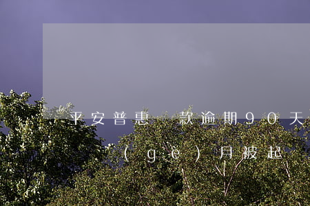 平安普惠貸款逾期90天(平安普惠貸款逾期兩個(gè)月被起訴了怎么辦)